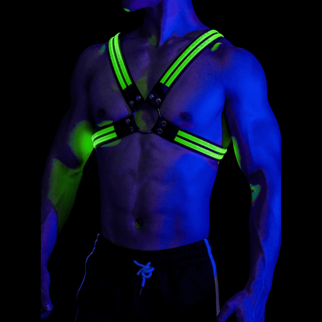 LED Harness Rave: The Ultimate Party Accessory – Xpress Harness